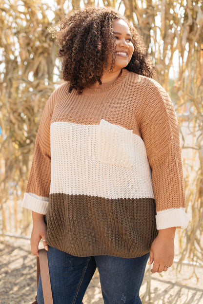 Three Times The Color Sweater in Toffee Combo
