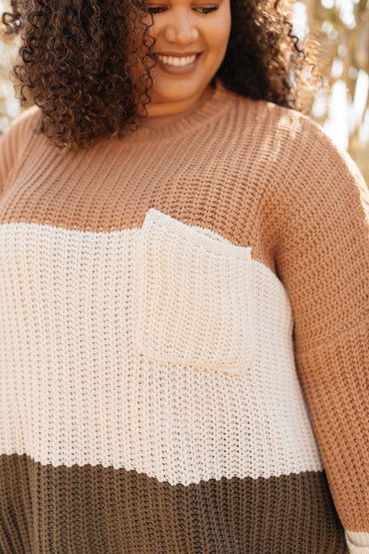 Three Times The Color Sweater in Toffee Combo